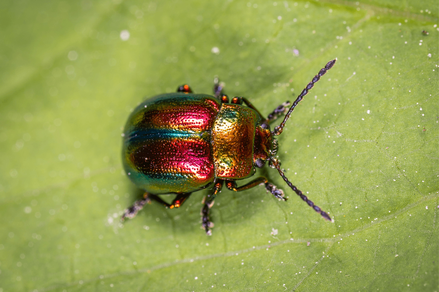 How to debug Magento 2